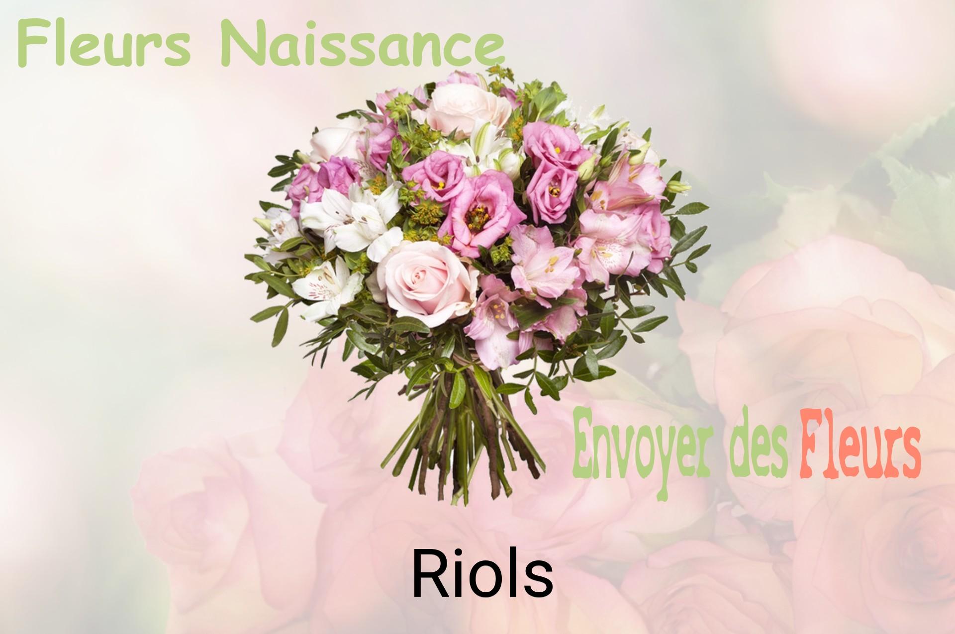 Bouquet de fleurs de naissance livré à Riols